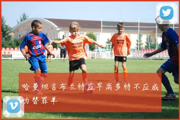 哈曼坦言布兰特应早离多特不应成为替罪羊