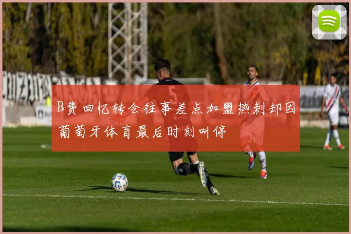 B费回忆转会往事差点加盟热刺却因葡萄牙体育最后时刻叫停
