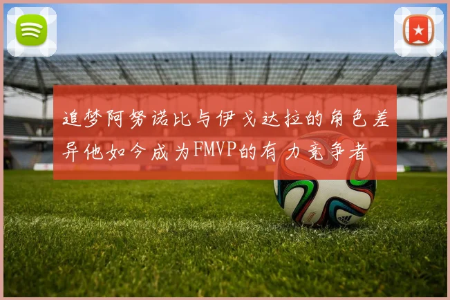 追梦阿努诺比与伊戈达拉的角色差异他如今成为FMVP的有力竞争者